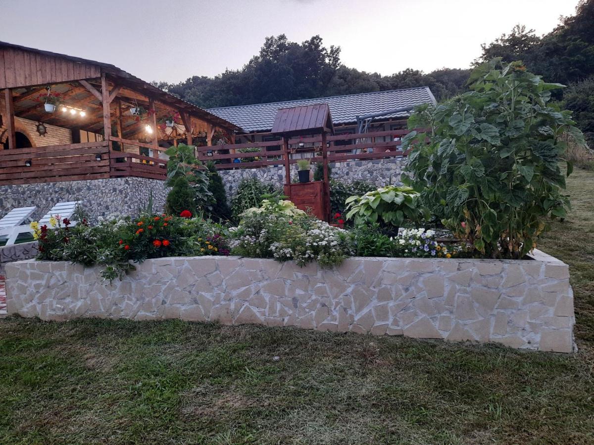 Casa Claudiu Villa Ieşelniţa Екстериор снимка